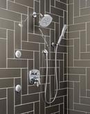 Delta Faucet Chrome Single Function Body Spray 