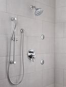 Delta Faucet Chrome Single Function Body Spray 