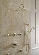 Delta Faucet Brilliance Polished Nickel Round Body Spray Trim (Trim Only) 