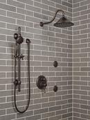 Delta Faucet Venetian Bronze Round Body Spray Trim (Trim Only) 