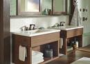 Delta Faucet Brilliance Champagne Bronze Single Function Body Spray 