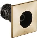 Delta Faucet Brilliance Champagne Bronze Single Function Body Spray 