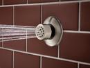 Brizo Luxe Nickel 1.5 gpm Touch Clean Body Spray Sprayhead 