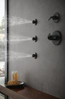 Brizo Matte Black 1.5 gpm Soothing Body Spray Sprayhead 