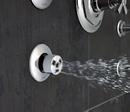 Brizo Chrome Single Function Spray Head in Luxe Gold 