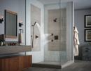 Brizo Venetian Bronze Single Function Body Spray 