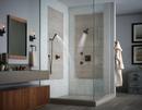 Brizo Venetian Bronze Single Function Body Spray 