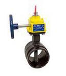 6 in. Ductile Iron Grooved Gear Operator Handle Butterfly Valve