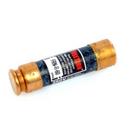 300V Fast Acting Fuse