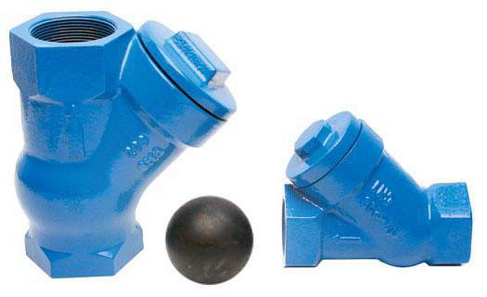 Flomatic Corp Cast Iron FPT Ball Check Valve 