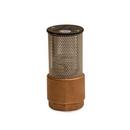 Danfoss Bronze Female Threaded Foot Valve 