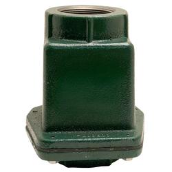 Check Valve 2 in. FNPT