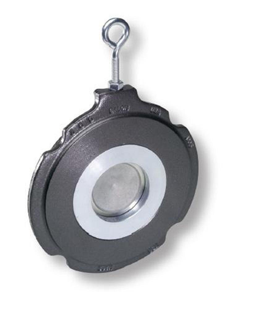 Balon Corporation Carbon Steel Wafer Check Valve 