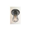 8-1/4 x 6 in. Ceiling Light Fixture in Old Silver