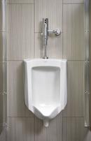 KOHLER White Wash Out Urinal 