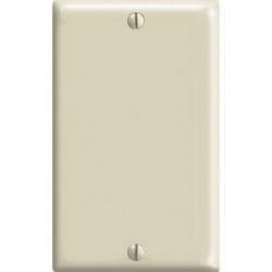 1-Gang Blank Thermoplastic Nylon Wall Plate in Ivory