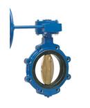 2-1/2 in. Cast Iron Lug EPDM Wheel Handle Butterfly Valve