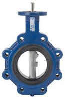 6 in. Cast Iron EPDM Butterfly Valve