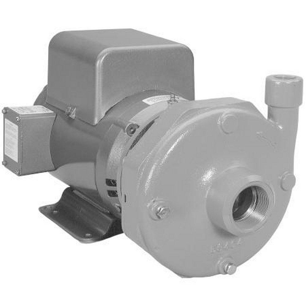 3HP 230V 1PH 115/208 CENT PUMP 