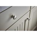 Top Knobs Brushed Satin Nickel 1-3/8 in. Zinc Alloy Cabinet Knob 