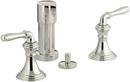 Double Lever Handle Vertical Spray Bidet Faucet in Vibrant Polished Nickel
