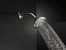 Delta Faucet Chrome Multi Function Full Body, Full Spray with Massage, Massage, Pause and Soft Drench w/ Full Spray Showerhead 