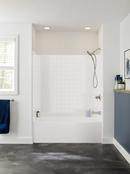 Delta Faucet Brilliance® Stainless Single Handle Multi Function Bathtub & Shower Faucet (Trim Only) 