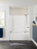 Delta Faucet Brilliance Stainless Two Handle Multi Function Bathtub & Shower Faucet (Trim Only) 