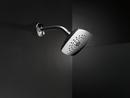 Delta Faucet Chrome Single Function Full Showerhead 