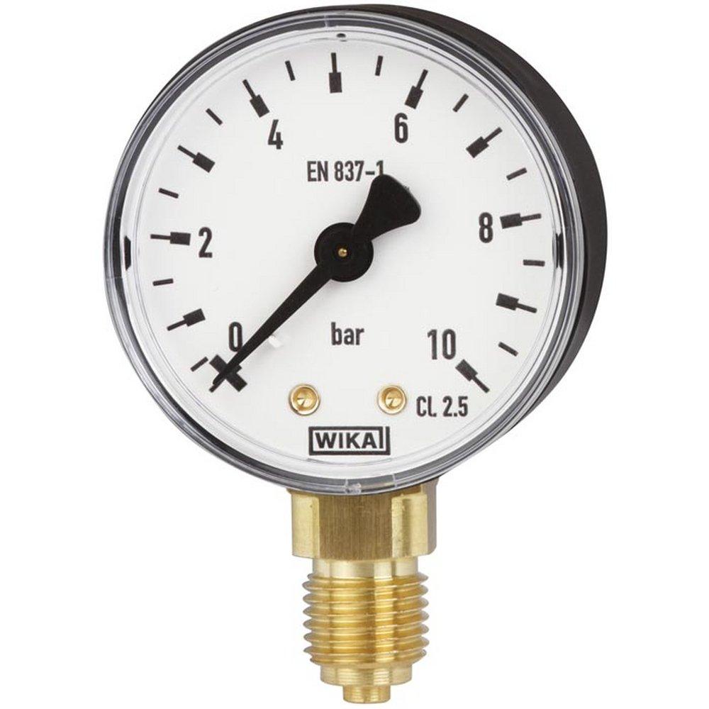 WIKA Black 2-1/2 x 1/4 in. ABS Lower Mount Pressure Gauge 