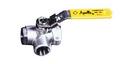 Apollo Valves Silver CF8M Stainless Steel Standard Port FNPT 800# Ball Valve 