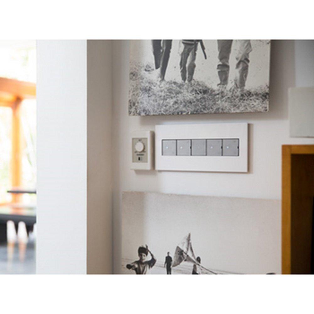 Pass & Seymour Gloss White Wall Plate in Gloss White 