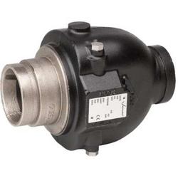 2 in. Ductile Iron Grooved Spring Check Valve