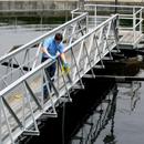 Raven Products Polycarbonate Sludge Sampler 