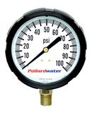 2-1/2 in. 60 psi Pressure Gauge MNPT
