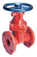 6 in. Epoxy Coated Cast Iron Full Port Flanged Gate Valve