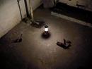 Milwaukee&reg; LED Latern/Flood Light 