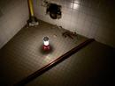 Milwaukee&reg; LED Latern/Flood Light 