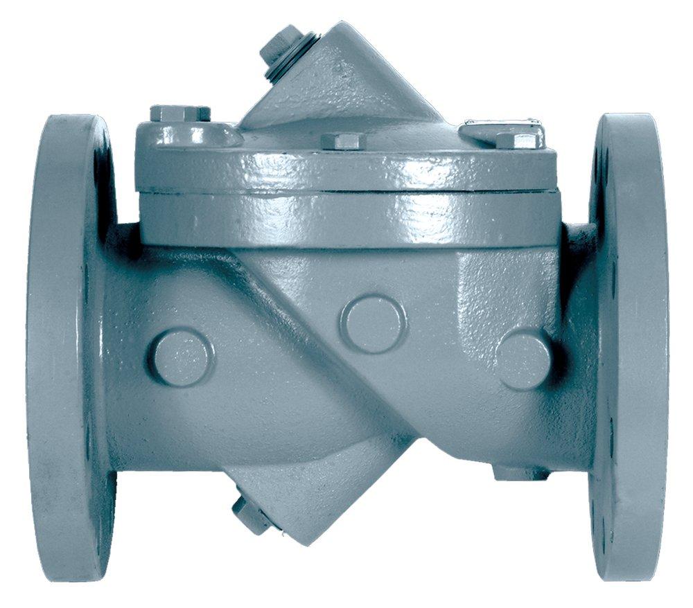 GA Industries Epoxy Coated Ductile Iron Flanged Check Valve 