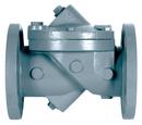 4 in. Epoxy Coated Ductile Iron Flanged Check Valve