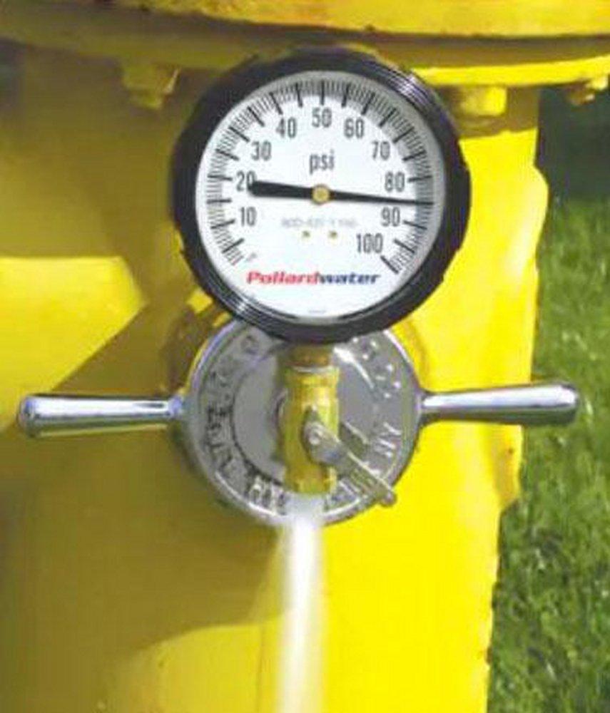 Pollardwater MNPT 1/4 in. Gauge 