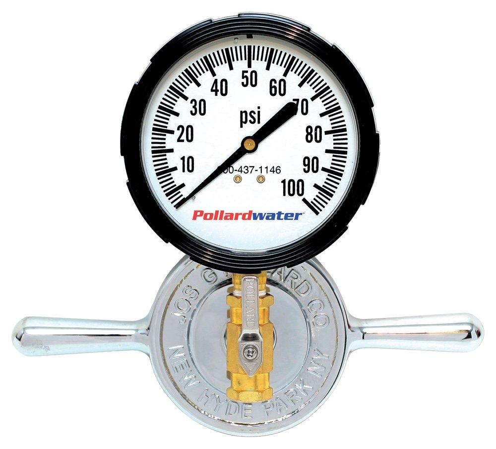 Pollardwater MNPT 1/4 in. Gauge 