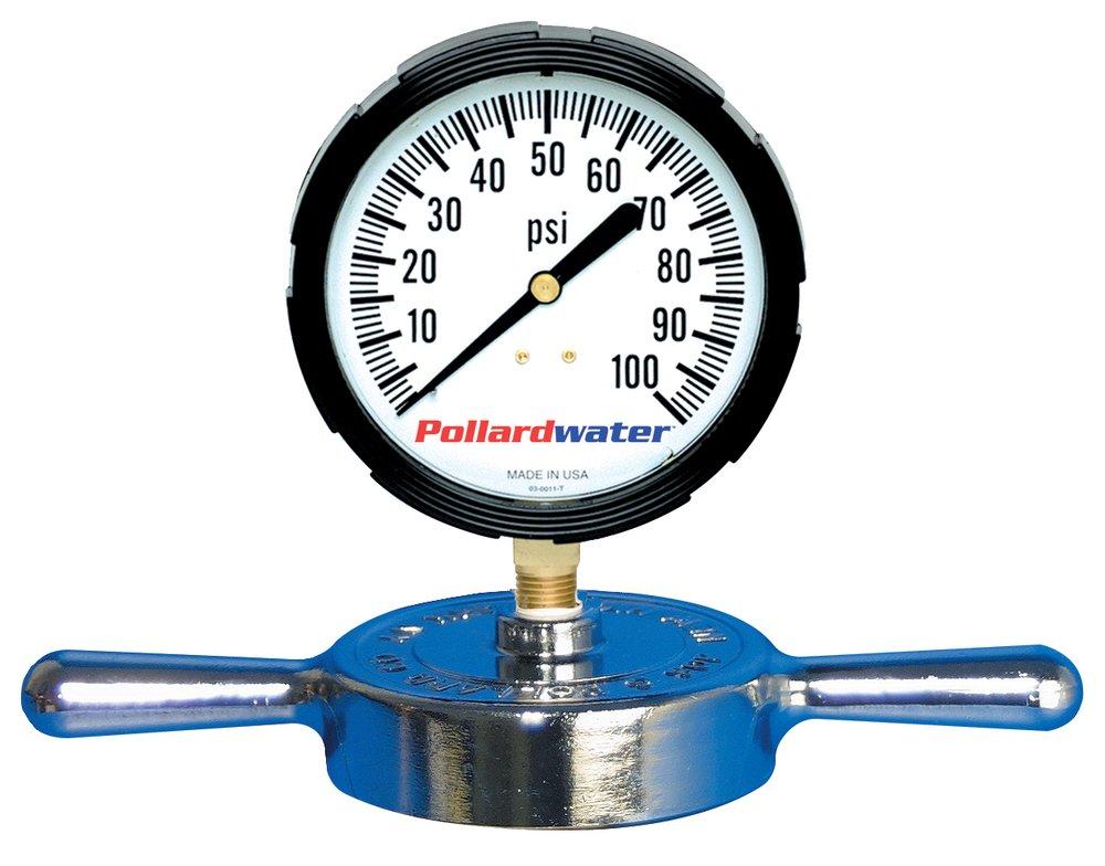 Pollardwater Polished Chrome NST Cap and Gauge 