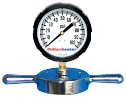 NST 2-1/2 in. 160 psi Cap and Gauge