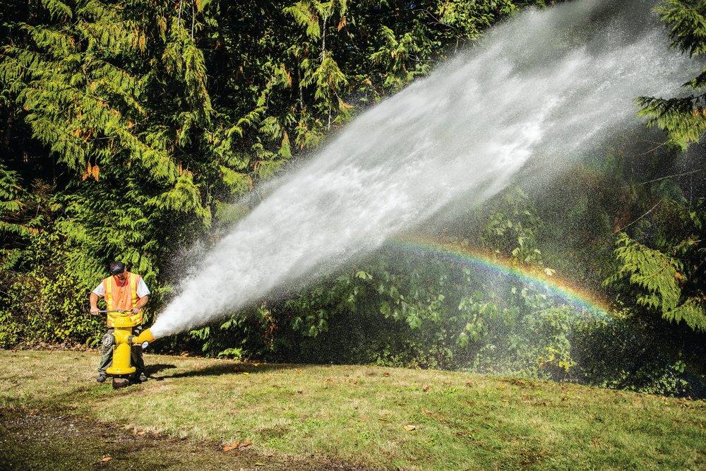 Pollardwater FNST Diffuser 