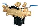 Pollardwater FNST x FNPT Backflow Preventer 