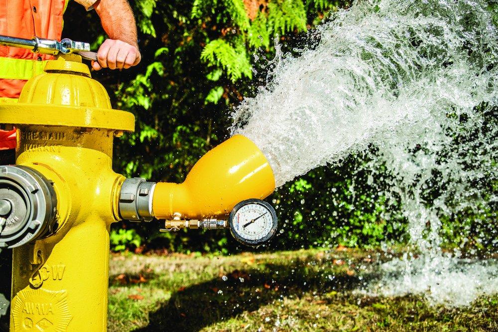 Pollardwater FNST Diffuser 