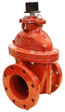 6 in. Flanged Ductile Iron Open Left Operating Nut Resilient Wedge Gate Valve