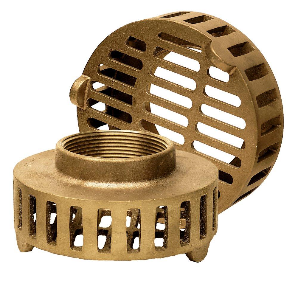 The Edson Corp Bronze Strainer 