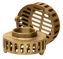 The Edson Corp Bronze Strainer 